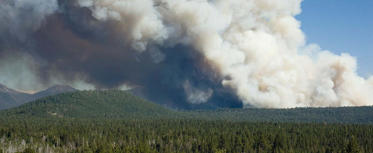 smoke plume from forest